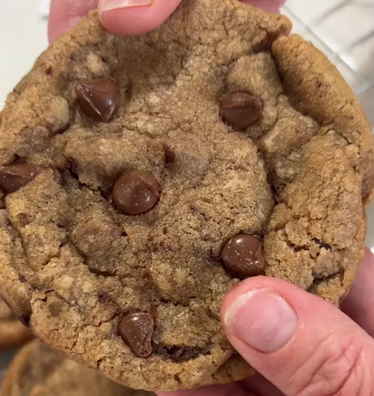 Brown Butter Chocolate Chip